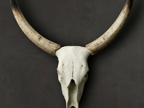  现代漂亮装饰画 