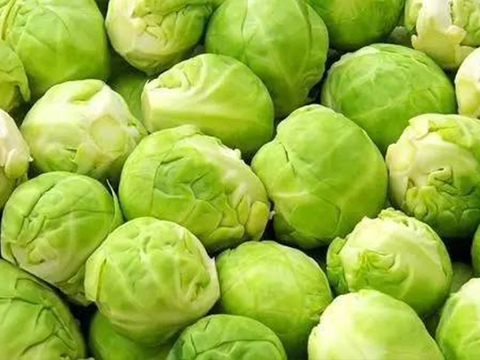  包菜 白菜 蔬菜摊位 