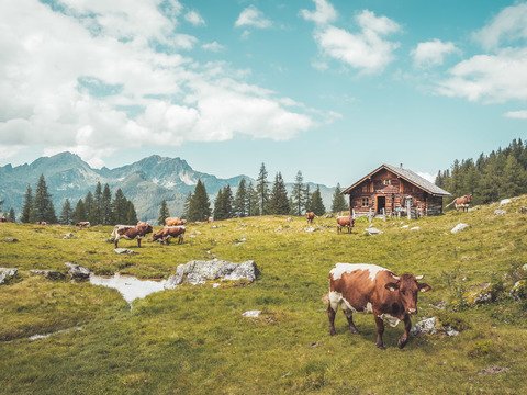  乡村外景 外景   窗户外景   室外景观  大自然外景 