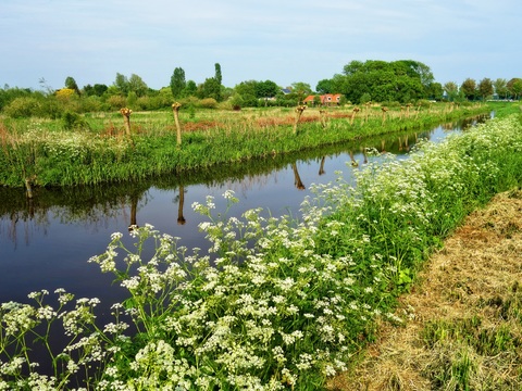  大自然外景  乡村外景 外景   窗户外景   室外景观 