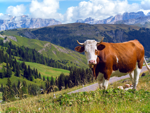  大自然外景  外景   窗户外景 乡村外景   室外景观 