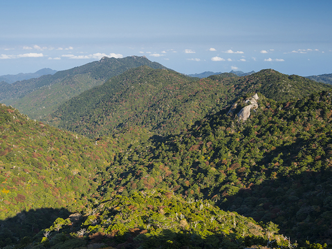  窗户外景  室外景观 景物 外景   窗景 