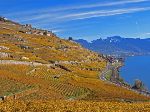  窗户外景  室外景观  大自然外景 乡村外景 外景 