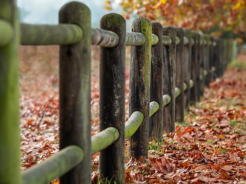  大自然外景 乡村外景 外景   窗户外景  室外景观 