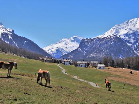  乡村外景 外景    窗户外景   室外景观  大自然外景 