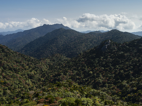  窗户外景  室外景观 景物 外景   窗景 