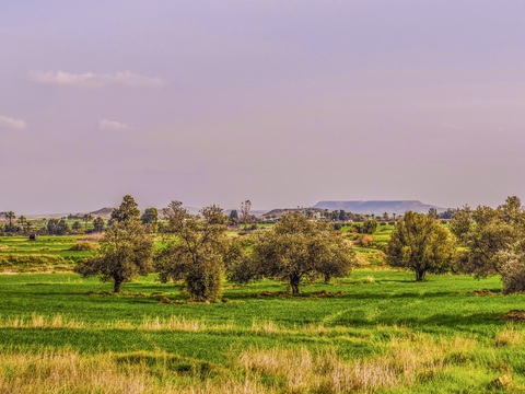  乡村外景 外景   窗户外景  室外景观  大自然外景 