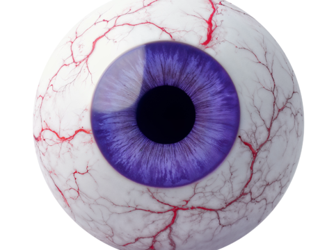  紫色眼睛 瞳孔 眼珠 眼球 美瞳 