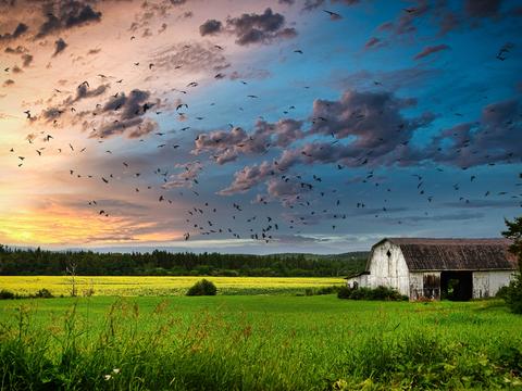  大自然外景  乡村外景 外景   窗户外景  室外景观 