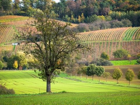  大自然外景  乡村外景 外景   窗户外景   室外景观 