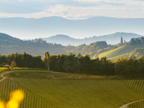  大自然外景  外景   窗户外景 乡村外景   室外景观 
