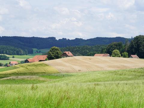  乡村外景 外景   窗户外景  室外景观  大自然外景 
