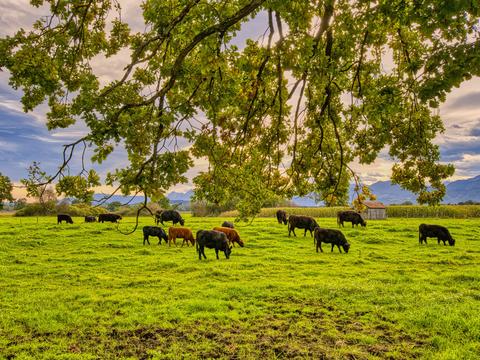  乡村外景 外景   窗户外景  室外景观  大自然外景 