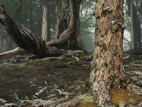  窗户外景   室外景观    景物 外景   窗景 