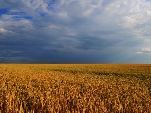  乡村外景 外景   窗户外景  室外景观  大自然外景 