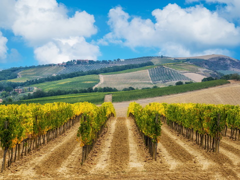  室外景观  大自然外景  乡村外景 外景   窗户外景 