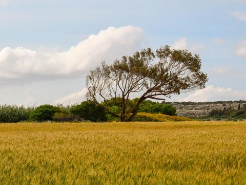  大自然外景 乡村外景 外景   窗户外景  室外景观 