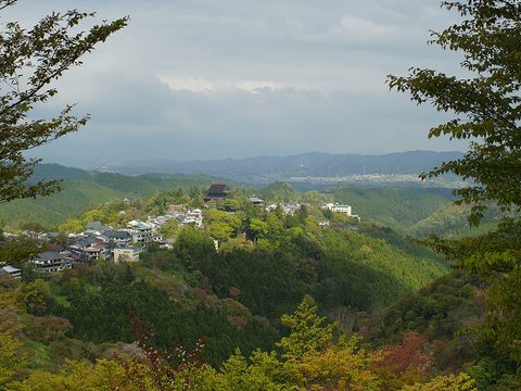  窗户外景  室外景观 景物 外景   窗景 
