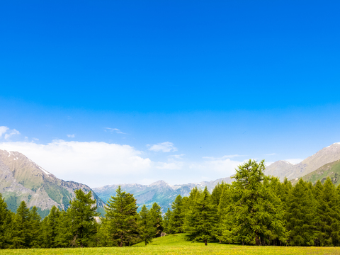  大自然外景  乡村外景 外景   窗户外景   室外景观 