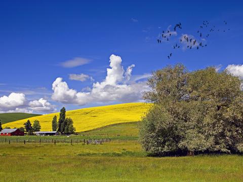  大自然外景  乡村外景 外景   窗户外景  室外景观 