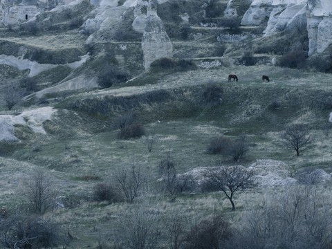  窗户外景   室外景观    景物 外景   窗景 