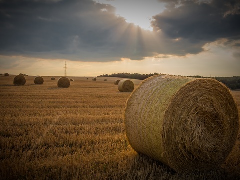  大自然外景  乡村外景 外景   窗户外景  室外景观 