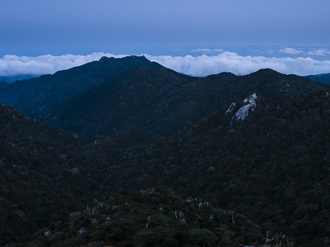  窗户外景  室外景观 景物 外景   窗景 