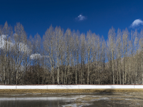  景物 外景   窗景   窗户外景 室外景观 