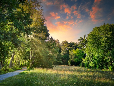  大自然外景  乡村外景 外景   窗户外景   室外景观 