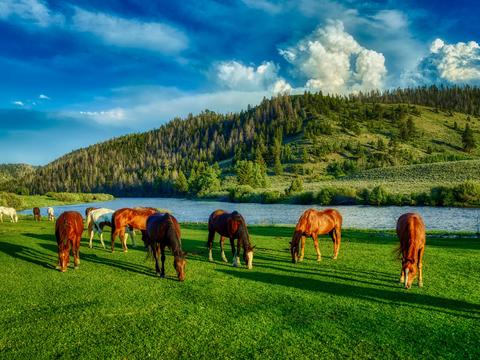  窗户外景  室外景观  大自然外景 乡村外景 外景 