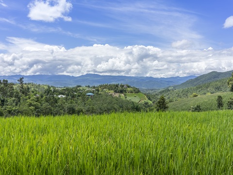  大自然外景  乡村外景 外景   窗户外景   室外景观 