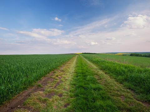  乡村外景 大自然外景  外景   窗户外景  室外景观 
