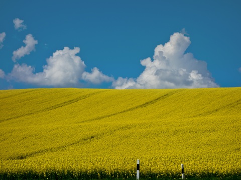  大自然外景  乡村外景 外景   窗户外景  室外景观 