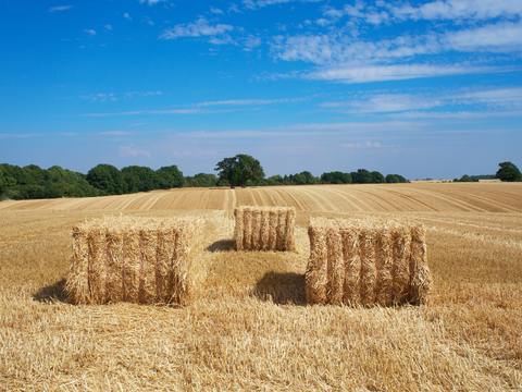  窗户外景   室外景观  大自然外景  乡村外景 外景 