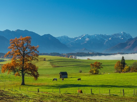  大自然外景  乡村外景 外景   窗户外景  室外景观 