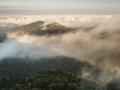  窗户外景  室外景观 景物 外景   窗景 