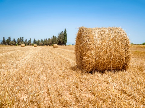  大自然外景  乡村外景 外景    窗户外景   室外景观 