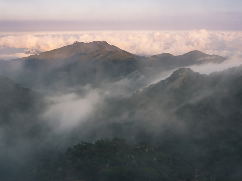  窗户外景  室外景观 景物 外景   窗景 