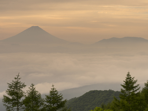  外景   窗景   窗户外景   室外景观    景物 