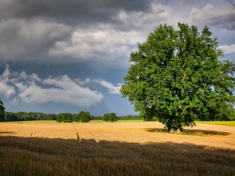  乡村外景 外景   窗户外景  室外景观  大自然外景 