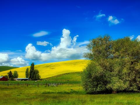  大自然外景 乡村外景 外景   窗户外景  室外景观 