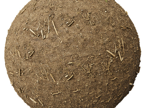  地面 土壤 自然 树枝 碎石 