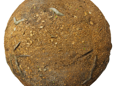  地面 土壤 自然 树枝 碎石 