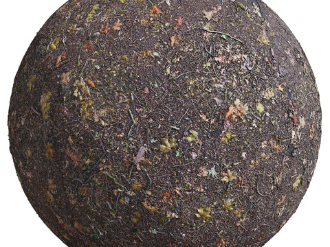  地面 土壤 自然 树枝 碎石 