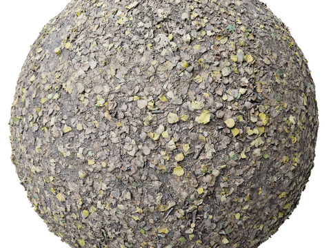  地面 土壤 自然 树枝 碎石 