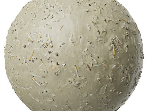  地面 土壤 自然 树枝 碎石 