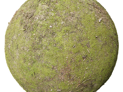  地面 土壤 自然 树枝 碎石 