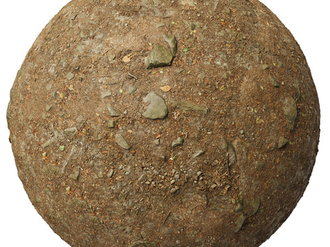  地面 土壤 自然 树枝 碎石 