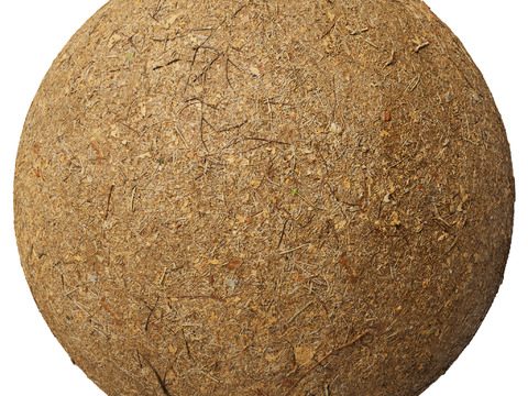  地面 土壤 自然 树枝 碎石 