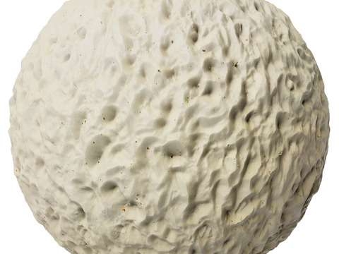  地面 土壤 自然 树枝 碎石 